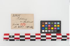 Etiketten zu Steinreibplatte (NHMW-PRAE-025075)